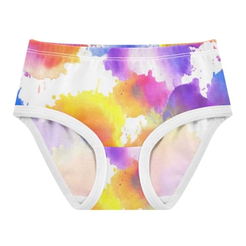 Cotton Toddler Underwear Floral Abstract Watercolor Panties Little Girl Fun Underpants Briefs 2t