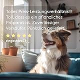 Dr. SAM wufit Dogs Tabletten – Ergänzungsfuttermittel zur Unterstützung der Magen-Darm-Funktion nach exklusiver Tierarzt-Rezeptur, für Hunde ab 40kg (1-Monatspackung)