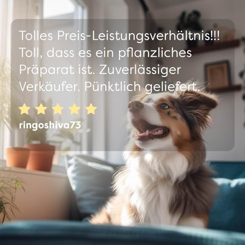 Dr. SAM wufit Dogs Tabletten – Ergänzungsfuttermittel zur Unterstützung der Magen-Darm-Funktion nach exklusiver Tierarzt-Rezeptur, für Hunde bis 20kg (1-Monatspackung)