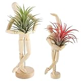 ANPHSIN 2 Sizes Wooden Air Plant Holder - Unique Jointed Mannequin Airplant Stand with Adjustable Poses, Tillandsia Display Container for Gifts Home Office Decoration, 2 pcs