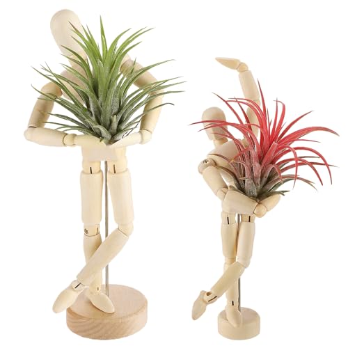 Image of ANPHSIN 2 Sizes Wooden Air Plant Holder, Adjustable Poses, 2 pcs