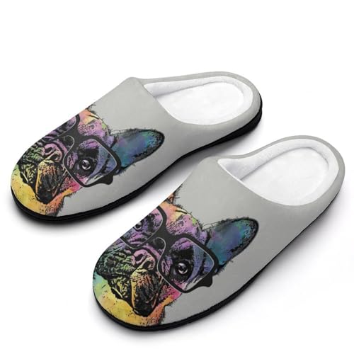 [ZKCASA] Xbp  G pO t`uhbO  [V[Y   qp h  g 􂦂 ~ jp I[V[Yp 7-8i39-40)