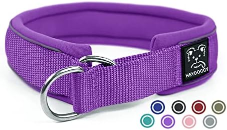 Ultra Soft Padded Martingale Dog Collar - 2" Wide Reflective Limited Slip Collars with Durable Heavy Duty Nylon for Small Medium Large Dogs No Pull Walking Training - Comfort & Safety (XL,Purple)
