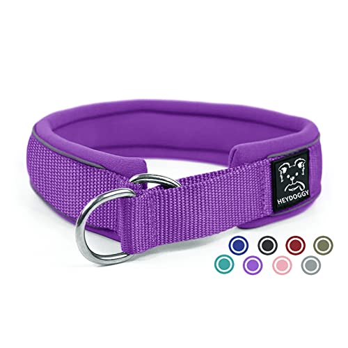 Ultra Soft Padded Martingale Dog Collar - 2" Wide Reflective Limited Slip Collars With Durable Heavy Duty Nylon For Small Medium Large Dogs No Pull Walking Training - Comfort & Safety (Xl,Purple) #TOP8