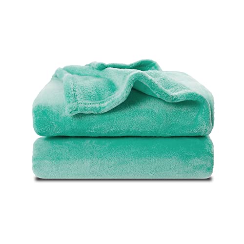 Image of NANPIPER Fleece Blankets Super Soft Flannel Fuzzy Blanket for Bed Couch Luxury Cozy Plush Microfiber Blanket-Twin Size Lake Blue