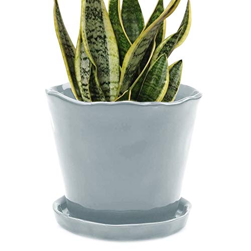 Image of CHIVE 'Tika' Ceramic Planter Pot - Large 8 inch Succulent Pots for Indoor & Outdoor House Plants - Cute, Beautiful Modern Farmhouse Kitchen Decor - New Grey