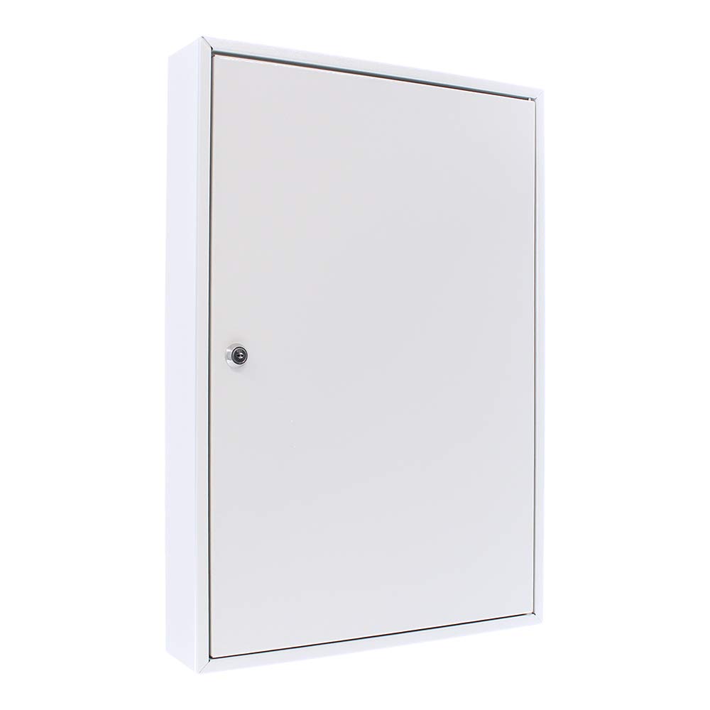 Rottner Armoire à clés Simple S 50 avec Serrure à Cylindre, Gris Clair, 50 étiquettes gratuites, matériel de Montage Inclus.