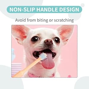 3Pack Small Dog Toothbrush Cat Tooth Brush Brushing Kit pet Toothbrush Cat Dental Care,Deep Clean Acne Chin Treatment Suction Cup 360 Degree Silicone pet Toothbrush, for Cats Dogs