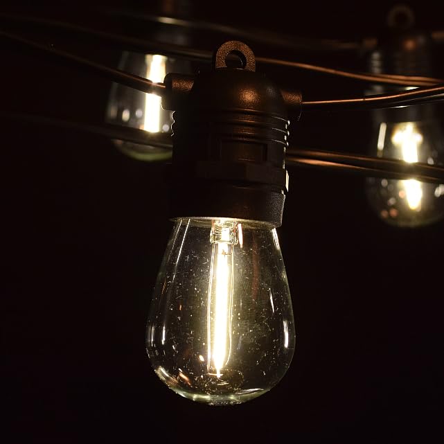 Hometown Evolution, Inc. E26 Commercial String Lights with