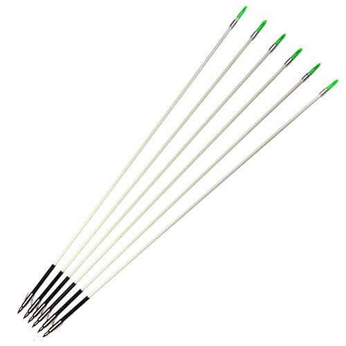 HBG 6Pcs Outdoor Fishing Fiberglass Shaft Arrows Archery Hunting 6MM Arrows for Bow and Slingshot Shoot 32'' Length
