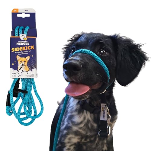 Heather's Heroes Sidekick Dog Headcollar with Leash - Sidekick Leash for Dogs, Effective Dog...