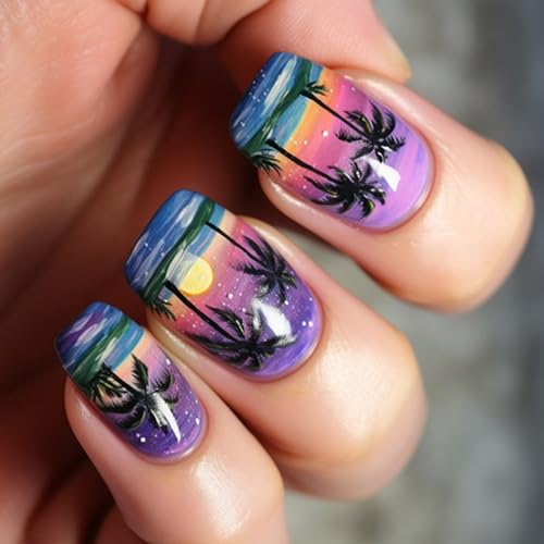 ܂̃XNGAvXV[YXP[vtFCNXeBbN12TCY24pcslCRtBA[ht``bṽA[gfR[ṼtX̃qg