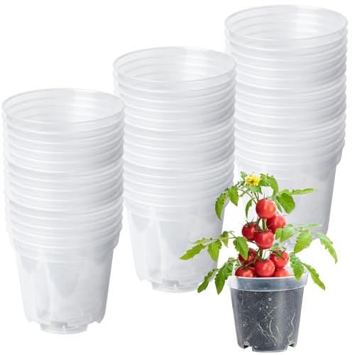 GBKDQQ 30 macetas de cultivo, macetas de 10 cm de diámetro, para orquídeas, transparentes, con orificio de drenaje, macetas de barro pequeñas para suculentas, cactus exteriores, flores, plantas de