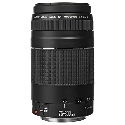 Canon EF 75-300mm Compact Telephoto Zoom Lens
