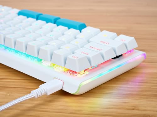 Image of KINESIS Gaming TKO White Mechanical Keyboard | Tactile Brown Switches | 60% Layout | Split Spacebar | Hotswap | White Body