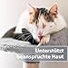 Felisept Mikro Silberspray für Katzen 75ml - Silberspray Katze gegen Juckreiz, Wundspray Katzen, Schmerzfrei & ohne Aluminium & kolloidales Silber, Einfache Anwendung
