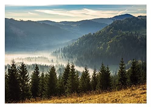 Fototapete Berge Panorama Wald im Nebel Bäume Landschaft - inkl....