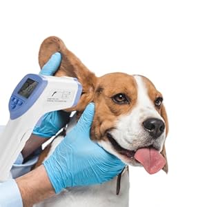 Dog Thermometer, Veterinary Thermometer Digital Pet Thermometer Animal Electronic LED Display High Precision Infrared Thermometer for Livestock Health Protect Cattle Sheep Pig Cure Home Dog Horse Dog Thermometer Veterinary Thermometer Digital Pet Thermometer Animal Electronic LED Display High Precision Infrared Thermometer for Livestock Health Protect Cattle Sheep Pig Cure Home Dog Horse