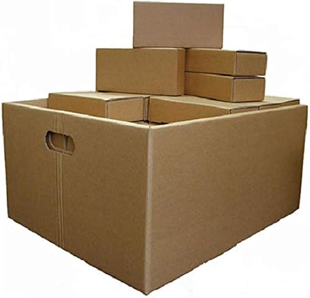 Amazon もちづき先生の段ボールレンガ 積木 積み木 おもちゃ