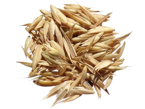 Dactyle Aggloméré - Dactylis Glomerata (Engrais Vert) SEM05 (100, Grammes)