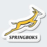 Rugby, Südafrika Springboks, Aufkleber, Doppelpack, mehrere Größen (10 cm breite)