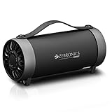 zebronics portable bt speaker price