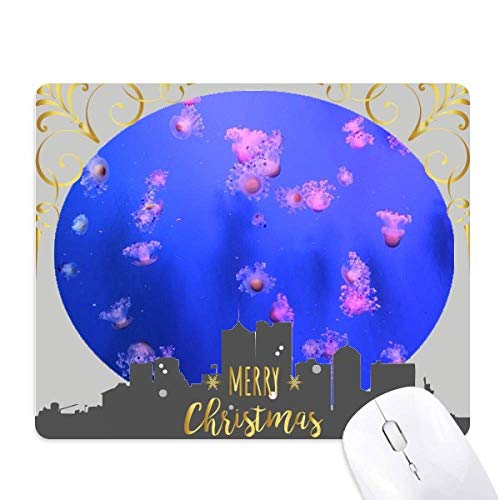 CmNQȊw͎R̎ʐ^ NX}XCũS}EXpbh