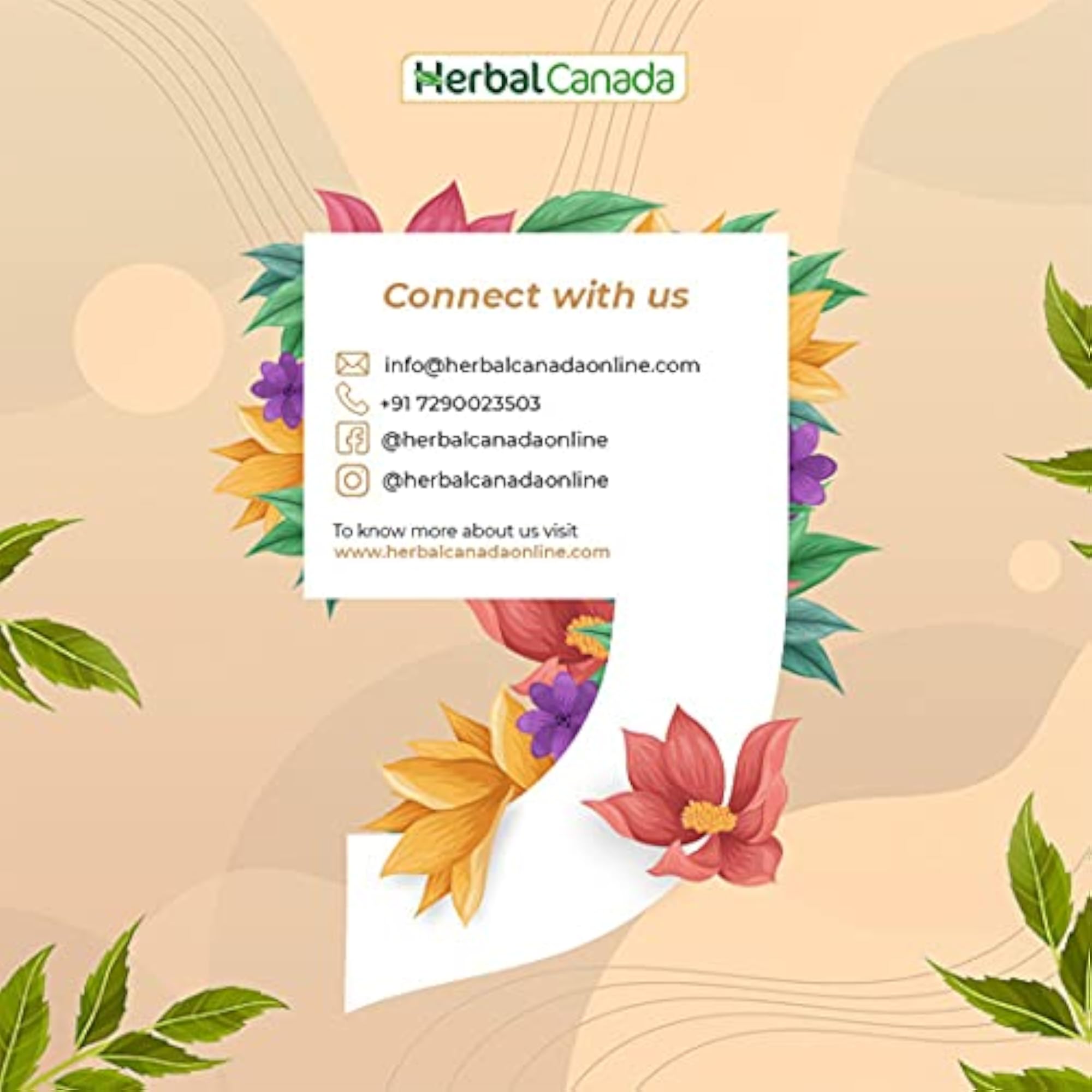 HARC Herbal No Constipation Pack, GiloyGhanvati Tabs