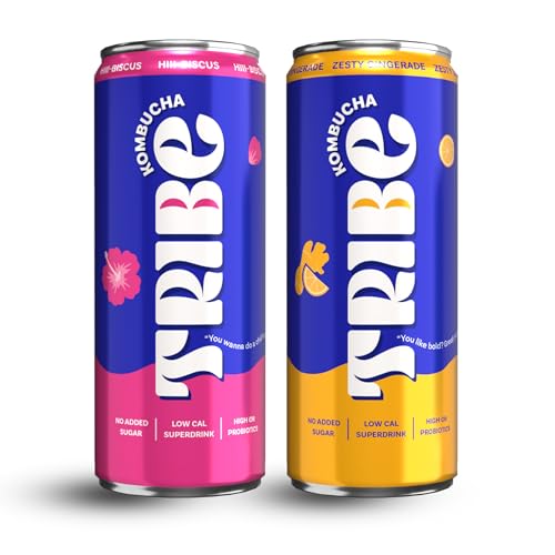 Image of Tribe Kombucha Probiotic Super Drink | Supports Gut Health | Gluten-Free | Naturally Fermented | Super Refreshing | Gut Friendly | Improves Blood Sugar | Antioxidant and Hydration | No Added Sugar |250 ML X 2 (ZESTY GINGERADE + HII BISCU)