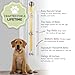 PoochieBells Dog Door Bells for Potty Training, Quick & Easy Puppy Potty Training Method Included, Handcrafted in USA with Loud, Paw-Safe Bells, Lemon Drop