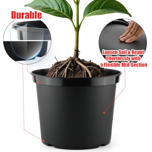 3 Gallon Plastic Nursery Pots, 10 Inch Round Plant Pots with Drainage Holes, 10 Pack Planting Pot for Outdoor Indoor Plants, Gardening Gifts for Women, Black - Image 5