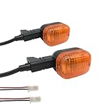SPNUVR 2Pcs Rear Motorcycle turn signals Winker Indicators light for Yamaha BWS 50 100 125 ZUMA/50F/50 FX ZUMA 125 (Amber)