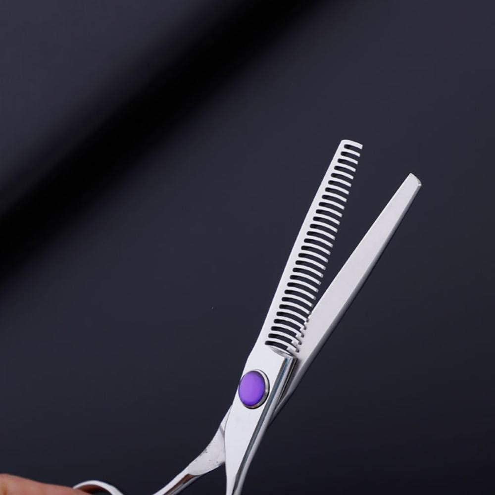 Set Forbici Da Parrucchiere Con Delicato Manico A Drago 15 Cm Argento-5,5" Barbieri Da Salone O Per Uso Domestico (5.5in)