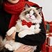 cobee 2 Pcs Velvet Cat Collar, Cat Bow Tie with Bell and Bowtie, Red Black Adjustable Removable Kitten Collar for Cats Kitten Puppy Pet Accessories