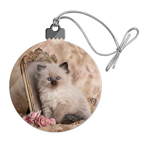 Best Cat Tree For Ragdolls A Guide To Finding The Perfect Playground