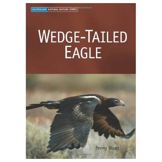 Wedge-tailed Eagle Nature Book