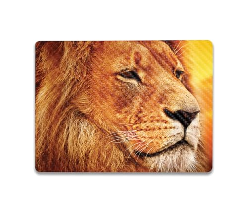Image of MightySkins Carbon Fiber Skin Compatible with Microsoft Surface Laptop Go 3 (2023) Full Wrap Kit - Lion Pride | Protective, Durable Textured Carbon Fiber Finish | Made in The USA