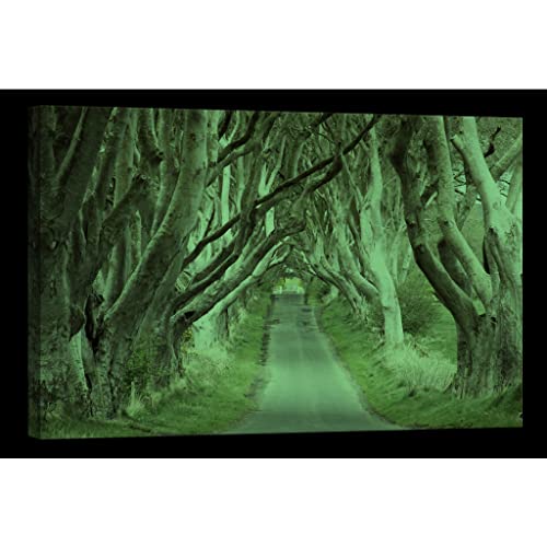 Lights in the dark tableau Nature DCL268-2 illuminant votre chambre la nuit