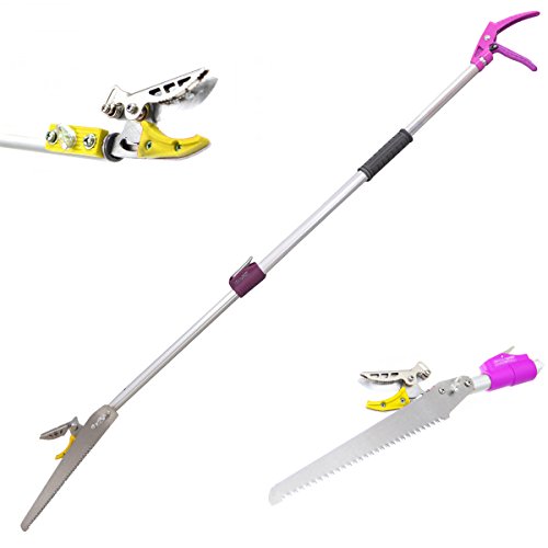 Buy DCM 610 feet Telescoping Cut and Hold Long Reach Bypass Garden