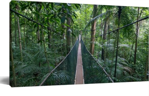 Large Wall Art Canvas - Forest Canopy Walk 24x48
