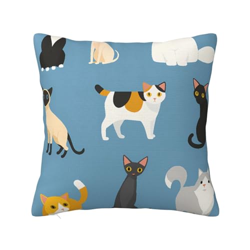 �L��13 ���J�o�[ ���� �v�����g�A�j�� ��������炩�� 22"X22"