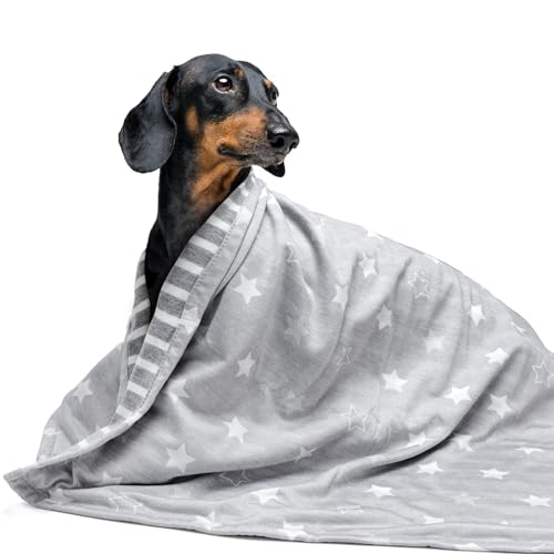 ARGOPET Coperta rinfrescante per cani, 104 x 76,2 cm, leggera, coperta per letto auto rinfrescante, coperta estiva per cani e gatti, coperta rinfrescante in seta per animali domestici, coperta per