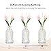 Scent-Hi Reed Diffuser Set Imagen de Scent-Hi Reed Diffuser Set