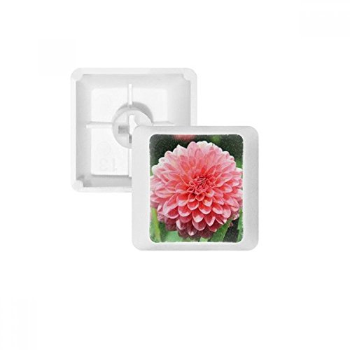 Keycaps PBT Pêcher Belle Fleur pour supprimer les distractions