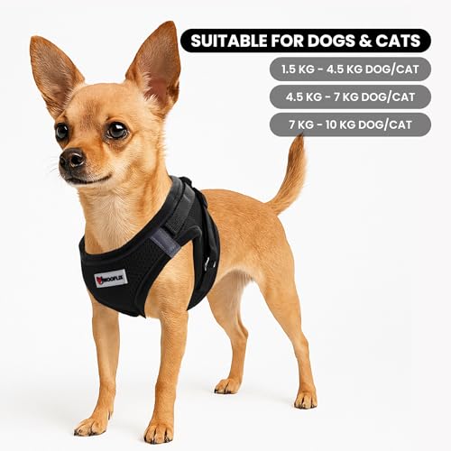 Image of WOOFLIX Dog Harness for Small Dogs, Puppies and Cats | Suitable for Small Size Dogs, Cats & Puppies of 2.5kg -4.5kg | Reflective Soft Padded Dog Harness with Secure Fit | Black (2.5kg-4.5kg Dog & Cat)