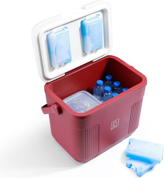 Brisby 22L Kühlbox – Passiv & Ohne Strom – mit 4 Großen Kühlakkus à...