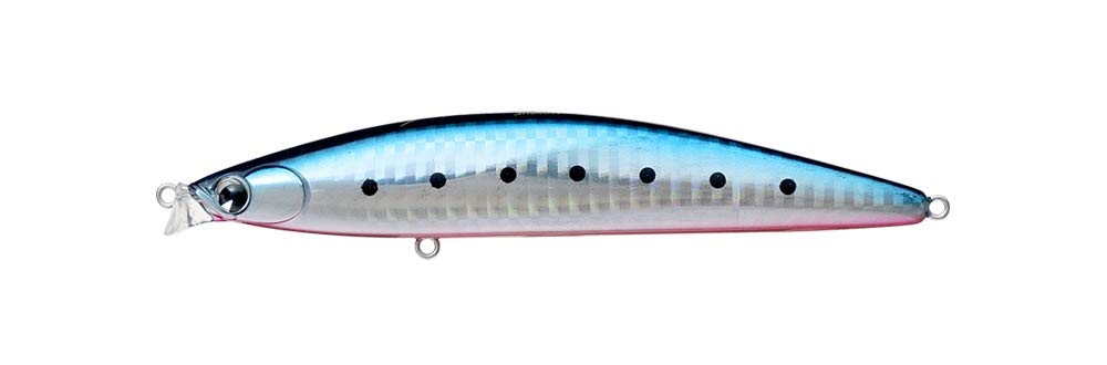 IBORN 118F gr19 colour 005