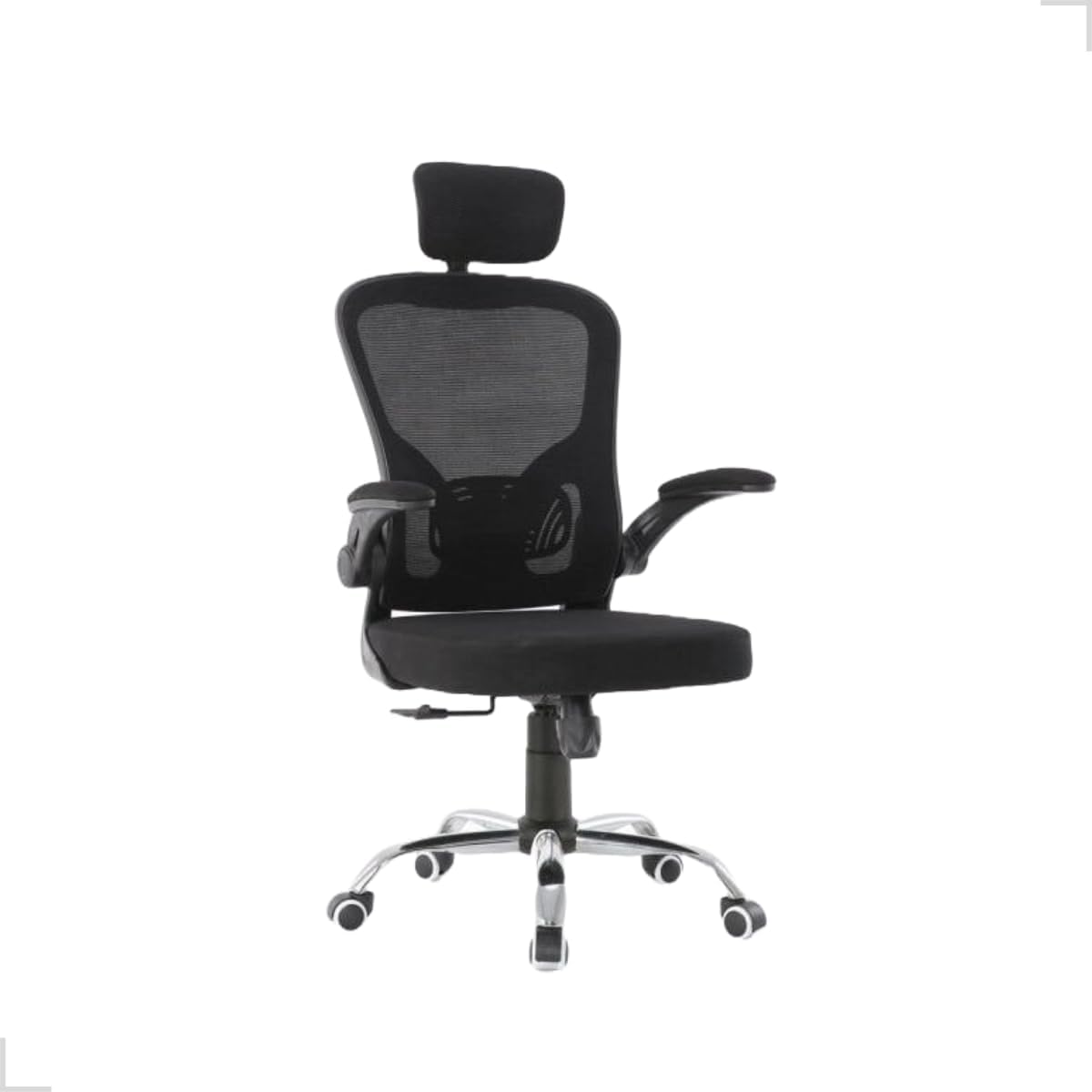  Eurynom Ergonômica