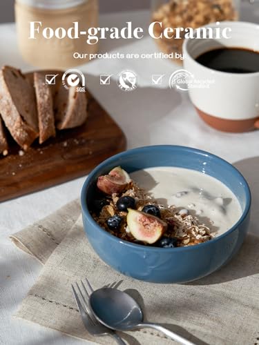Image of DOWAN 22 OZ Ceramic Soup Bowls & Cereal Bowls - 6 inch Classic Bowls Set of 4 for Soup, Cereal, Oatmeal, Fruit, Rice - Dishwasher & Microwave Safe (Airy Blue)