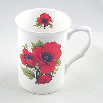 Autumn Poppy Chintz - Fine English Bone China Mug - England